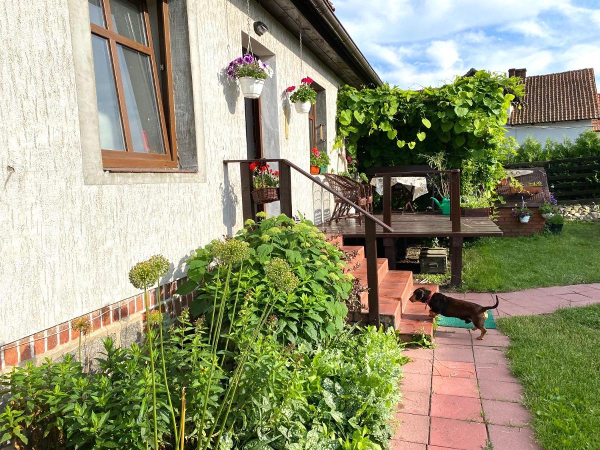 Dom Nad Krutynia Apartment Ukta Exterior foto